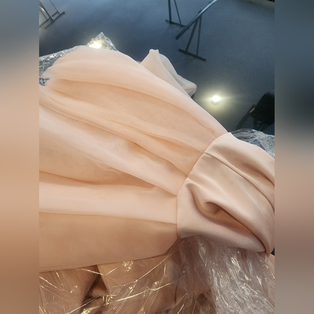 Mac Duggal Blush Pink Long Sleeve Maxi Gown with Sheer Bell Sleeves - Picture 10 of 11